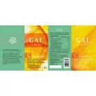 GAL C-komplex