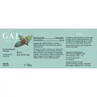 GAL Borsmentaolaj