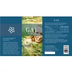 GAL K2+D3 Forte