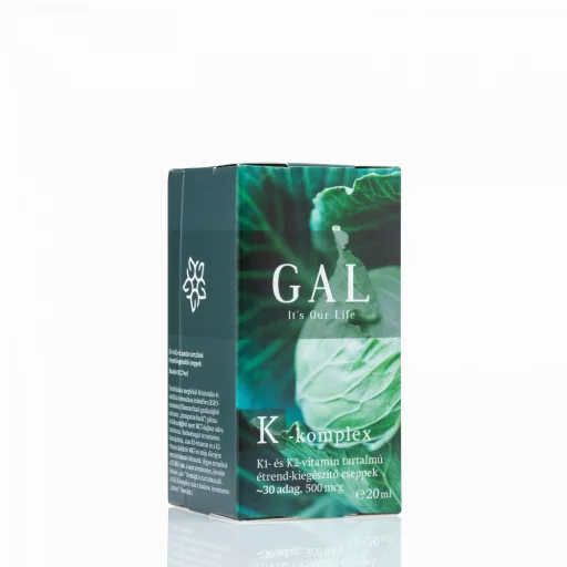GAL K-komplex