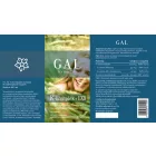 GAL K-komplex + D3