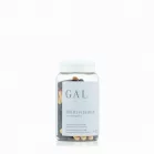 GAL+ Multivitamin [új recept]