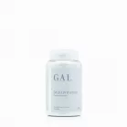 GAL+ Multivitamin [új recept]